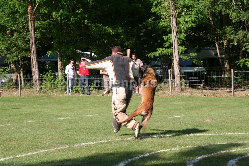 Twisty des Loups Mutins (17).jpg